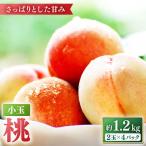 桃 ハウス桃 約1.2kg