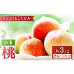 ふるさと納税 【2026年5月下旬〜発送】桃 特別栽培 小玉 ハウスもも(Mサイズ:10パック) / 桃 もも モモ フルーツ 果物 旬 / 南島原市 / ふ.. 長崎県南島原市