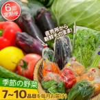 直売所より発送 季節の野菜セット 7 10品目