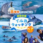 南島原 イルカウォッチング ペア チケット