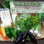 かんぴょう&野菜の詰め合わせセット