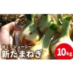 fu.... налог [2026 год 3 месяц? отправка ][...ju-si-] новый лук репчатый предшествующий предварительный заказ салат лук репчатый 10kg шар лук порей / шар лук порей лук репчатый tama лук-батун 10kg.. Nagasaki префектура юг остров . город 