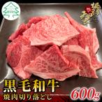 根羽こだわり和牛 焼肉切り落とし 600g