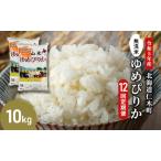 12ヵ月定期便 産ゆめぴりか 10kg