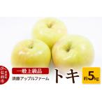 ふるさと納税 りんご トキ 一般用上級品 約5kg 青森県弘前市