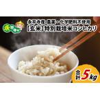 ふるさと納税 【玄米】 令和7年度産 永平寺町産 農薬不使用・化学肥料不使用 特別栽培米 コシヒカリ 5kg  ５キロ 5kg 米  米 お米 コメ 送料無.. 福井県永平寺町