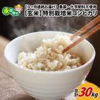 令和8年度産 新米 農薬不使用 化学肥料不使用