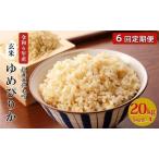 6ヵ月定期便 産ゆめぴりか 20kg