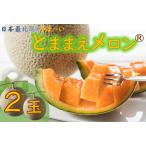 ふるさと納税 【令和7年産】とままえメロン 2玉(先行予約 北海道産 赤肉 糖度14度 甘い フルーツ 果物 デザート 送料無料) 北海道苫前町