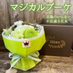 マジカルブーケ 生花 花束 ブーケ 花瓶不要