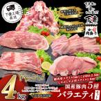 豚肉バラエティ5種セット4kg 小分け真空包装