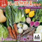 野菜 無農薬 農園自慢の情熱野菜セット 9種