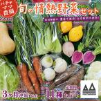 野菜 無農薬 農園自慢の情熱野菜セット 11種