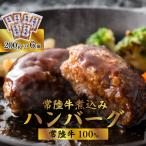 ハンバーグ 煮込み 1.2kg