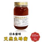 蜂蜜 日本蜜蜂 はちみつ 生蜂蜜