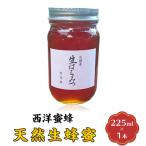蜂蜜 西洋蜜蜂 はちみつ 生蜂蜜