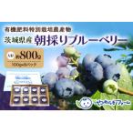 朝採り生ブルーベリー 800g