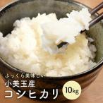 小美玉産 コシヒカリ ミルキークイーン 食べ比べ