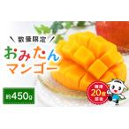 �ӂ邳�Ɣ[�� �y���ʊ��ԁE�G�ߌ���z �w�O�b�h�I���[�j���O�x�ŏЉ� ���݂���}���S�[��450g ���ʌ��� ���Ԍ��� ��s�\�� ���n �}���S�[ ���Y.. ��錧�����ʎs