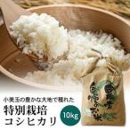 こしひかり 玄米 10kg