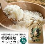 特別栽培コシヒカリ 5kg