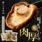 産原木乾椎茸 乾燥椎茸 露地栽培 原木 しいたけ