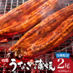 うなぎ蒲焼き 400g