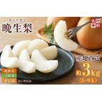 ふるさと納税 【2026年産】先行予約 梨 晩生梨 （ 新興梨 王秋梨 愛宕梨 のいずれか ） 3kg 5〜9玉 【令和8年10月中旬以降発送予定】 フルーツ .. 兵庫県香美町