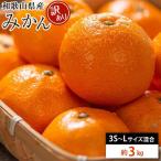 糖度 12.5度以上 訳あり みかん 3kg