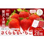 ふるさと納税 佐那河内村限定 さくらももいちご 20粒  24粒 28粒｜いちご 徳島県佐那河内村