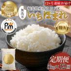 定期便12回 いちほまれ 無洗米 5kg×12回