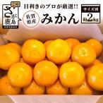 予約受付 産みかん 約2kg