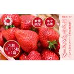 ふるさと納税 いちご 『ロイヤルクイーン』 大粒 12粒〜15粒×1箱 ※2026年1月中旬〜5月中旬頃に順次発送予定 栃木県さくら市