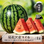 尾花沢産スイカ すいか スーパー6Lサイズ