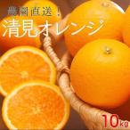 訳あり 清見オレンジ 混合 10Kg