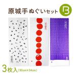 原城跡 シリーズ 原城 手ぬぐい 3点 Bセット