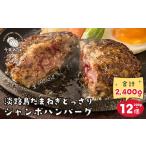 ショッピングハンバーグ ふるさと納税 淡路島たまねぎどっさりジャンボハンバーグ 200g×12個　[ハンバーグ 淡路島 合挽 玉ねぎ ハンバーグ 淡路島 合挽 玉ねぎ ハン.. 兵庫県淡路市