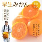 蔵出しみかん 小玉 5kg