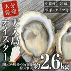 真ガキ 大入島オイスター 約2.6kg