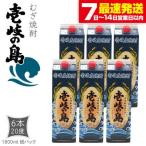 麦焼酎 壱岐の島 20度 1800ml