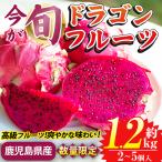 ドラゴンフルーツ 約1.2kg