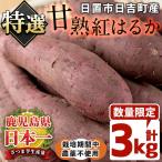 甘熟さつまいも紅はるか生 3kg