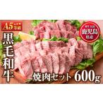 ふるさと納税 No.507-03 <A5等級>鹿児島県産黒毛和牛焼肉セット(計600g・霜降り焼肉200g×2P、赤身焼肉200g×1P)国産 九州産 牛肉 .. 鹿児島県日置市