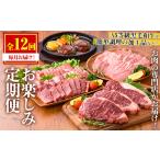 ふるさと納税 No.754 <定期便・全12回(連続)>お楽しみ!大人気の返礼品定期便(全12回・ステーキ、ハンバーグ、ローストビーフなど)牛肉 黒毛.. 鹿児島県日置市