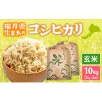 ふるさと納税  令和7年産 コシヒカリ 10kg 福井県産【玄米】【人気品種】 [e30-b016] 福井県越前町