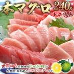 本マグロ 養殖 トロ&赤身セット 240g