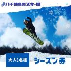 八千穂高原スキー場 シーズン券 大人1名様
