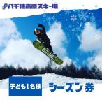 八千穂高原スキー場 シーズン券 子供 1名様
