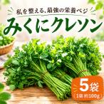 クレソン 100g×5袋