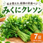 クレソン 100g×7袋